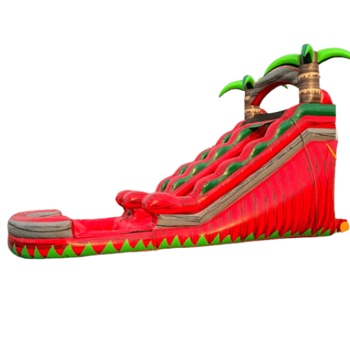 Bouncing 2 The Stars Rentals Kissimmee FL Party Rental and Bounce